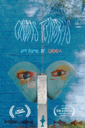 Ondas Temporais's poster