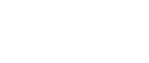 Rex: A Dinosaur's Story's poster