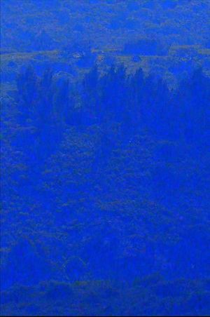 Coma Serrat's poster