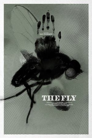 The Fly's poster