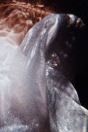 Maternal Filigree's poster