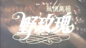 Feng qing wan zhong ye mei gui's poster