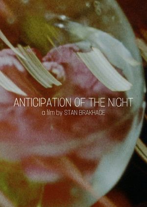 Anticipation of the Night's poster