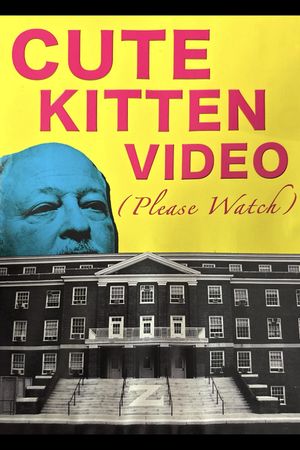 Cute Kitten Video (Please Watch)'s poster