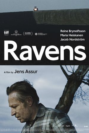 Ravens's poster