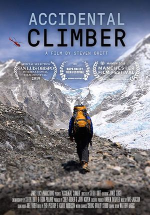 Accidental Climber's poster