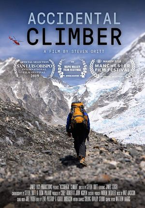 Accidental Climber's poster image