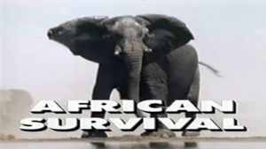 Predators of the Wild: African Survival's poster