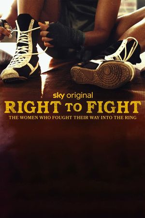Right to Fight's poster