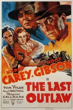 The Last Outlaw's poster