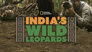 India's Wild Leopards's poster