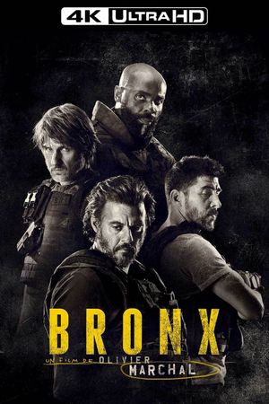 Rogue City's poster