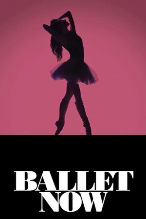 Ballet Now's poster
