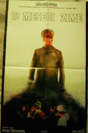 12 meseci zime's poster