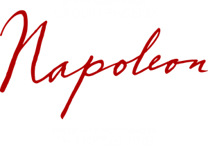 Napoleon's poster