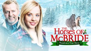 The Horses of McBride's poster