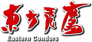 Eastern Condors's poster