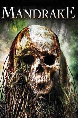 Mandrake's poster