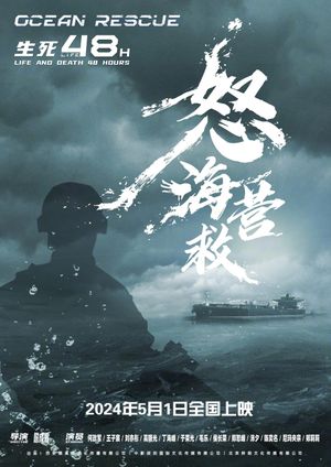 怒海营救's poster