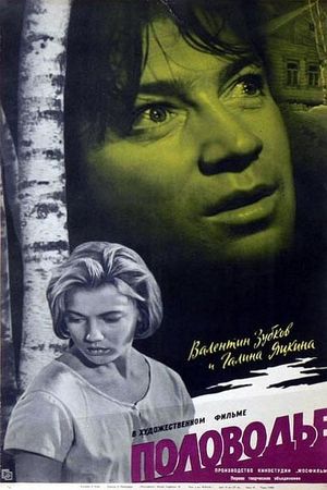 Polovodye's poster
