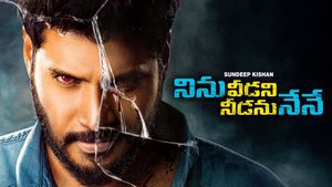 Ninnu Veedani Needanu Nene's poster