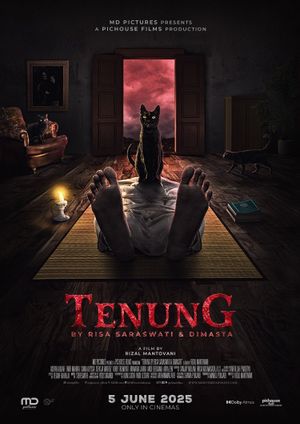 Tenung's poster