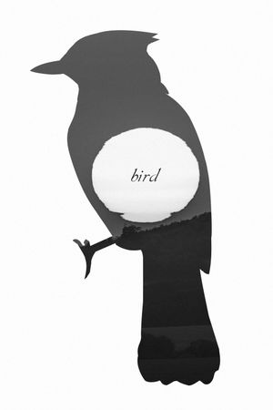 Bird's poster