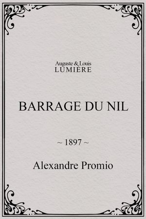 Barrage du Nil's poster