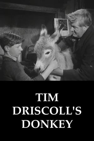 Tim Driscoll's Donkey's poster