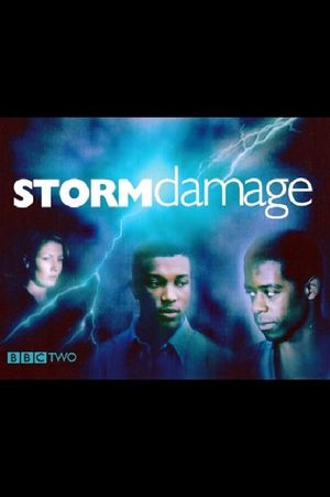 Storm Damage's poster