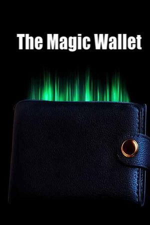 The Magic Wallet's poster