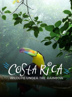 Costa Rica: Wildlife Under The Rainbow's poster