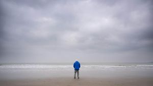 Ocean with David Attenborough's poster