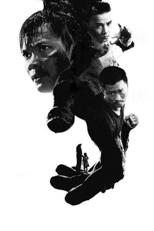 Kill Zone 2's poster