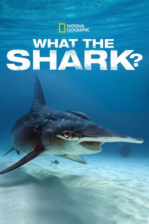 What the Shark?'s poster
