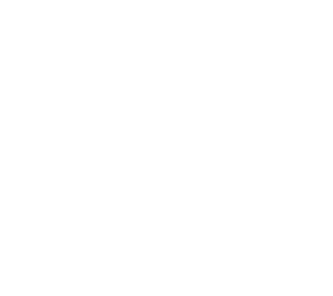Little Fish's poster
