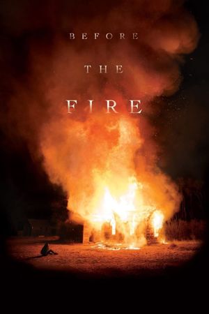 Before the Fire's poster