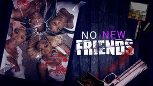 No New Friends's poster