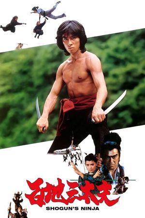 Ninja Warriors's poster