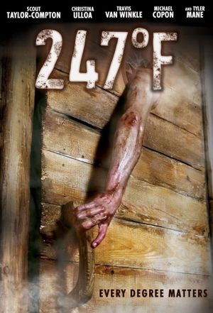 247°F's poster
