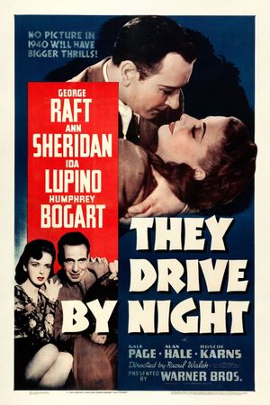 They Drive by Night's poster