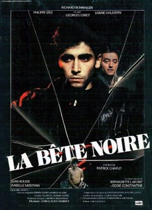La bête noire's poster