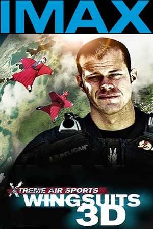 Wingsuit Warrior's poster