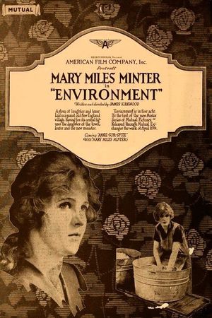 Environment's poster
