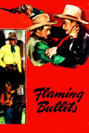 Flaming Bullets's poster