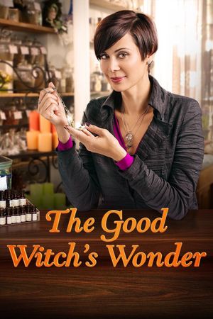 The Good Witch's Wonder's poster