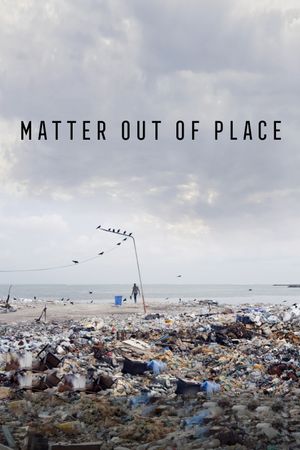 Matter Out of Place's poster