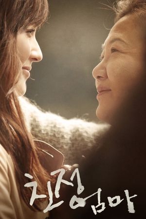 A Long Visit's poster