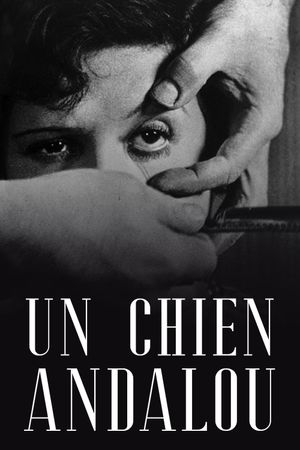 Un Chien Andalou's poster