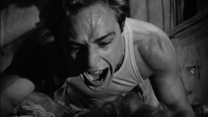 A Streetcar Named Desire's poster
